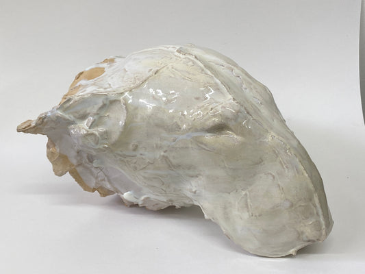 Bull Terrier Head