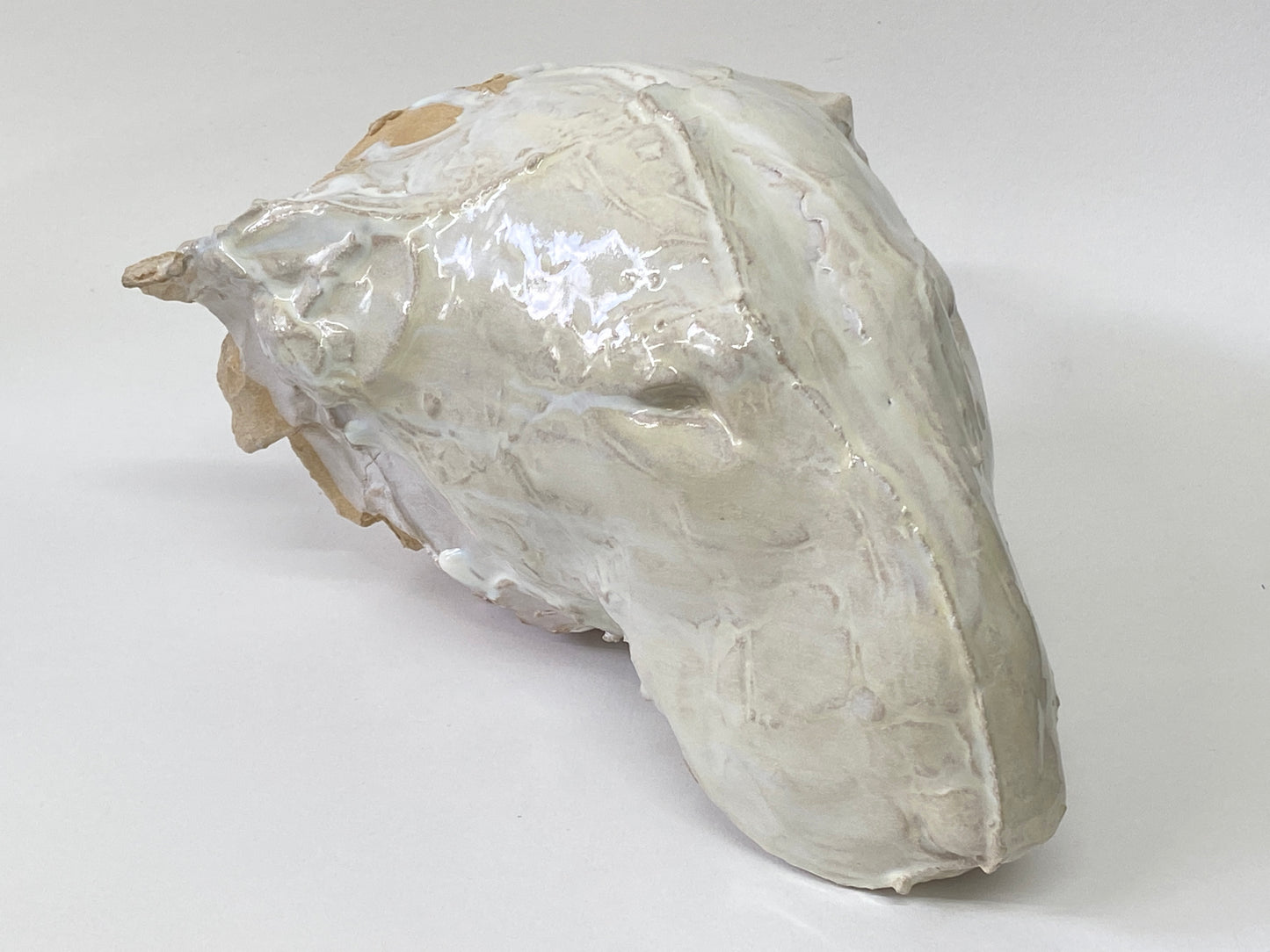 Bull Terrier Head