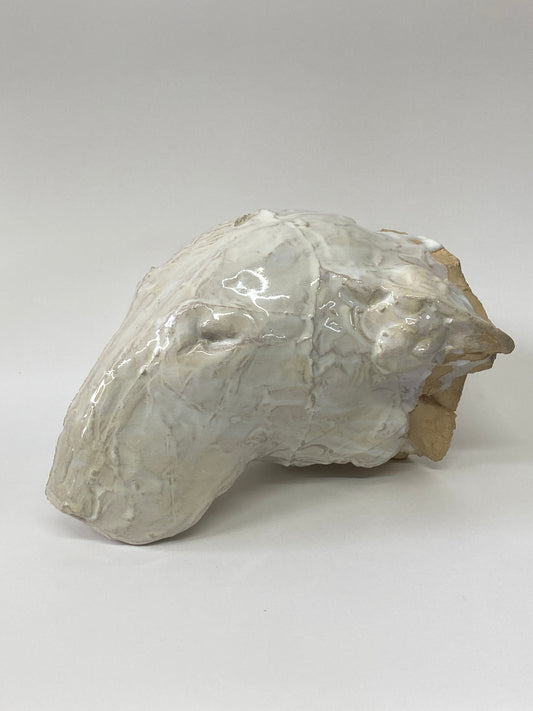 Bull Terrier Head